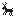 Reindeer!